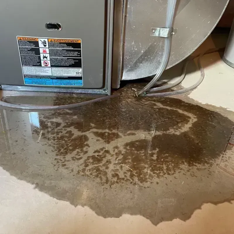 Appliance Leak Cleanup in Essex, MD